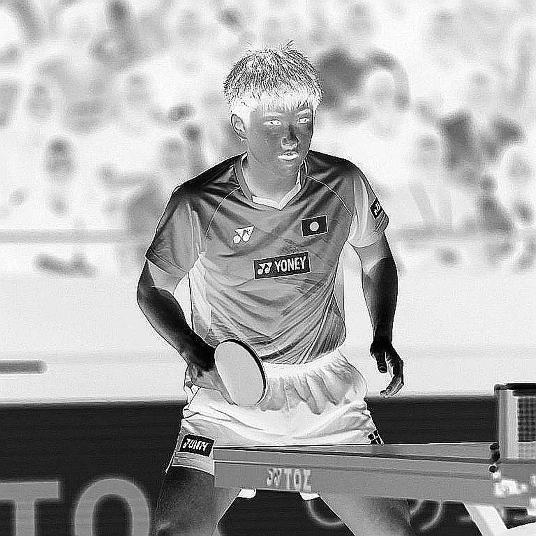 Belgium Open 2026: Nghịch lý 48 giờ của Matilde PINTO và giới hạn thật của một nhà vô địch U21